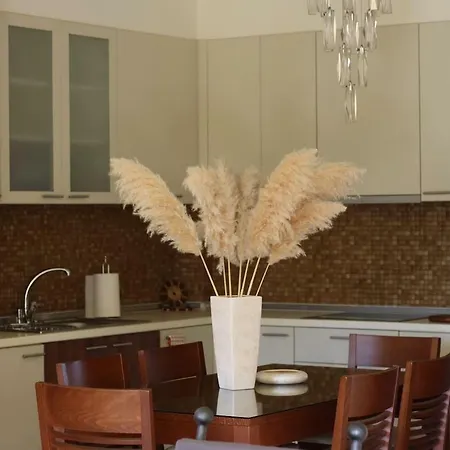 Shemesh Gardens House *