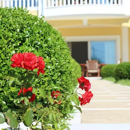 Shemesh Gardens House PalaiónTsiflíkion