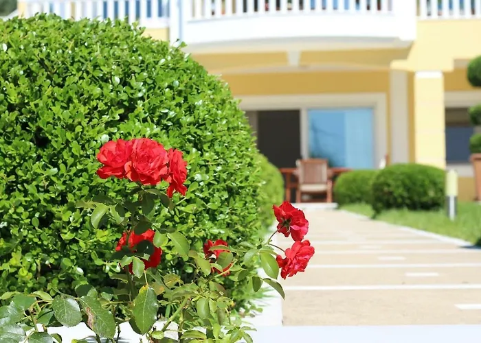 Shemesh Gardens House PalaiónTsiflíkion